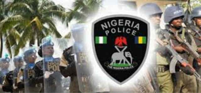 Nigeria-Police-Force-Officers-Logo.jpg.cf_