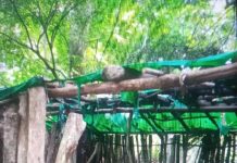 Unknown gunmen: Ugwuanyi scores another point..time to tackle herdsmen