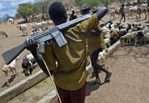 The danger of silence over Fulani herdsmen killings in Enugu