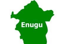 Enugu Community Unites to Celebrate New Yam Festival in style, Gratitude to God