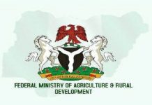 Millions of Hectares of Farmlands Not in Use, Says Minister