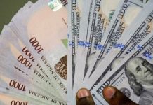 Naira depreciates to N1,600/$ in official market