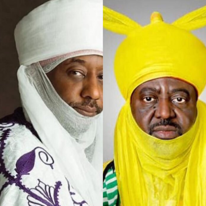 InShot_20240526_064034682