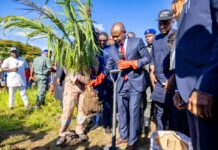 N100bn Deal: Gov Mbah Flags-off Revitalisation of Enugu United Palm Products Ltd