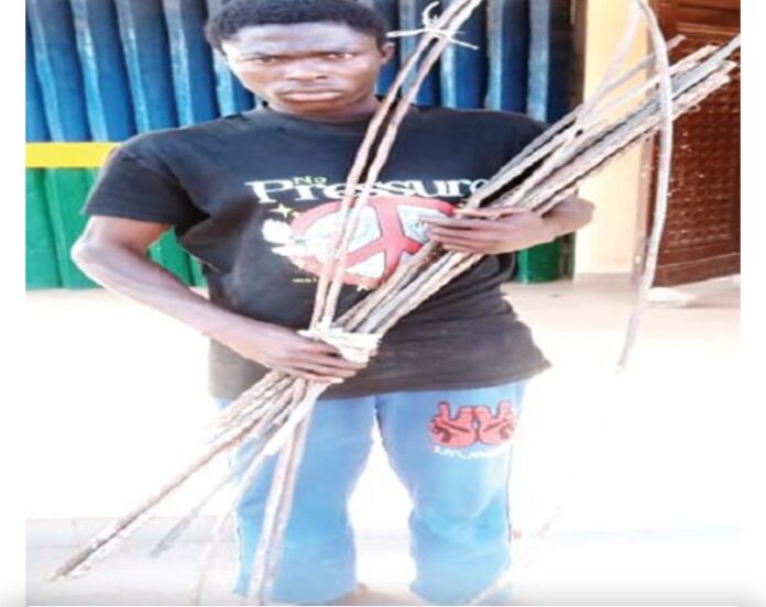 Screenshot_2024-09-23-06-05-28-38_40deb401b9ffe8e1df2f1cc5ba480b12