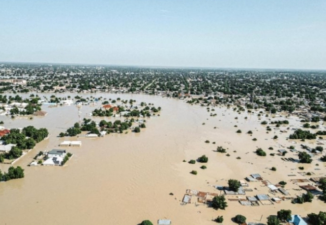 Screenshot_20240918-154926_1