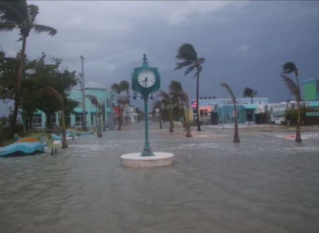 Screenshot_20240928-053150_1