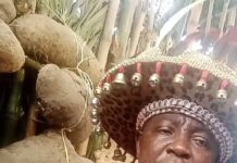 Top Enugu Traditional Ruler Celebrates New Yam Festival, Calls For Nnamdi Kanu’s Release