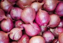 Onion Producers And Marketers Declare State of Emergency