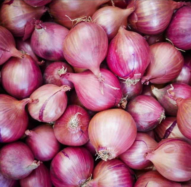 Screenshot_20241108-103917_1