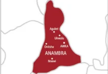 Agunechemba To Take Over Camps Of Gunmen In Anambra