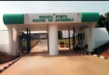 Epileptic Services: MTN, Glo, others to appear before Enugu Assembly