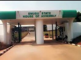 Epileptic Services: MTN, Glo, others to appear before Enugu Assembly