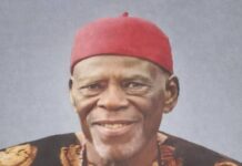 Chief Okeke J. Omagu, 1932 – 2024: The Signpost of A Golden Time