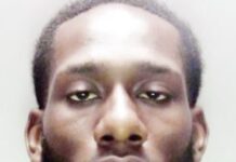 Nigerian Jailed for Life in UK Over Random Street Murder After Cannabis-Fuelled Crash