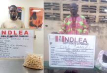 NDLEA Busts Cocaine Hidden in Dry Fish, Arrests Syndicate Members Nationwide
